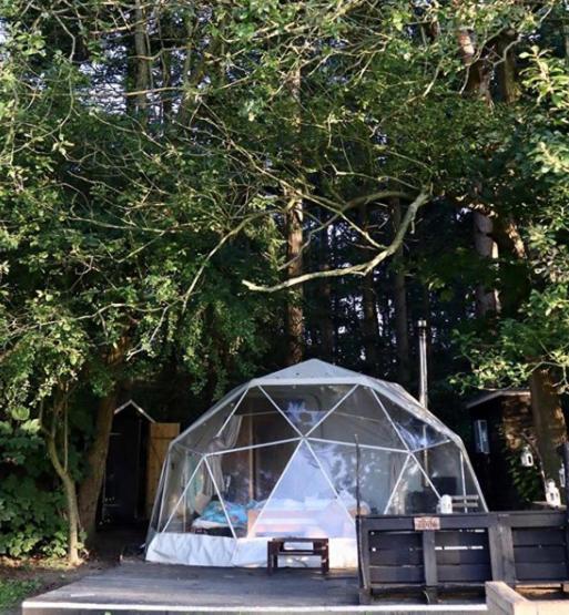 Hotel Camp Katur Glamping Carthorpe Zimmer foto
